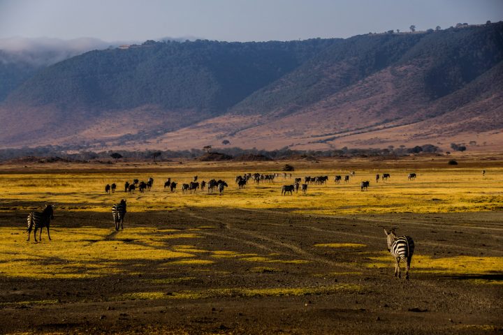 Ngorongoro Crater